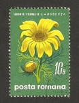 Stamps Romania -  flor adonis vernalis