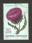 Stamps Romania -  flora, carduus nutans