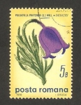 Stamps Romania -  flora, pulsatilla pratensis