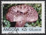 Sellos de Africa - Angola -  SETAS-HONGOS: 1.104.013,01-Sarpocom inbricatum -Sc.1077