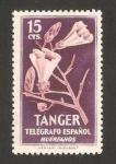 Sellos de Africa - Marruecos -  flora de tanger, telégrafo español, huérfanos