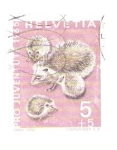 Stamps Switzerland -  Erizo