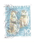 Stamps Switzerland -  Castores