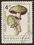 Stamps Bulgaria -  SETAS-HONGOS: 1.120.002,02-Psalliota silvatica -Dm.961.79-Mch.1272-Sc.1884