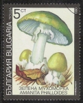 Sellos de Europa - Bulgaria -  SETAS-HONGOS: 1.120.031,07-Amanita phalloides -Dm.991.7-Y&T.3352-Mch.3886-Sc.3597	