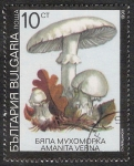 Sellos de Europa - Bulgaria -  SETAS-HONGOS: 1.120.032,07-Amanita verna -Dm.991.8-Y&T.3353-Mch.3887-Sc.3598