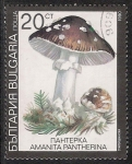 Stamps : Europe : Bulgaria :  SETAS-HONGOS: 1.120.033,06-Amanita pantherina -Dm.991.9-Y&T.3354-Mch.3888-Sc.3599	