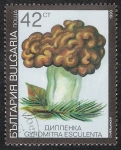 Stamps Bulgaria -  SETAS-HONGOS: 1.120.035,06-Gyromitra esculenta -Dm.991.11-Y&T.3356-Mch.3890-Sc.3601	