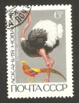 Sellos de Europa - Rusia -  fauna, loro y avestruz