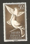 Sellos de Africa - Marruecos -  ave, paloma bravía