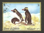 Stamps United Arab Emirates -  umm al qiwain, pingüinos
