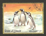 Stamps United Arab Emirates -  umm al qiwain, pingüinos
