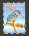 Stamps Bosnia Herzegovina -  fauna, alcedo atthis, martín pescador