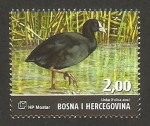 Sellos de Europa - Bosnia Herzegovina -  fauna, fulica atra, focha común