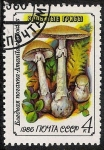 Stamps Russia -  SETAS:231.020(1)D.986.38-Y.5304-M.5603-S.5454  Amanita phalloides