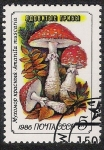 Stamps Russia -  SETAS:231.021(1)D.986.39-Y.5305-M.5604-S.5455  Amanita muscaria