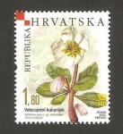 Stamps : Europe : Croatia :  flora, helleborus niger, rosa navideña