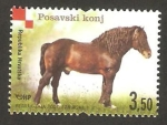 Stamps Croatia -  un caballo