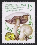 Stamps Germany -  SETAS-HONGOS: 1.152.023,01-Agaricus campestris