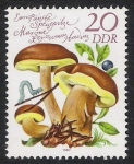 Stamps Germany -  SETAS-HONGOS: 1.152.024,01-Xerocomus badius