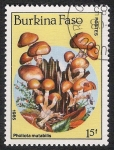 Stamps Burkina Faso -  SETAS-HONGOS: 1.121.011,00-Pholiota mutabilis