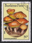 Stamps Burkina Faso -  SETAS-HONGOS: 1.121.013,00-Ixocomus granulatus
