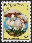 Stamps Burkina Faso -  SETAS-HONGOS: 1.121.014,00-Agaricus campestris