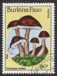 Stamps Burkina Faso -  SETAS-HONGOS: 1.121.015,00-Trachypus scaber