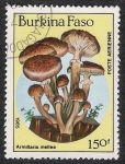 Stamps Burkina Faso -  SETAS-HONGOS: 1.121.016,00-Armillaria mellea