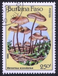 Stamps Africa - Burkina Faso -  SETAS-HONGOS: 1.121.017,00-Marasmius scorodionus