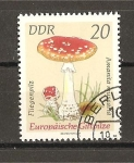 Stamps Germany -  Setas.