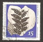 Stamps Germany -  1520 - fósil, variedad de helecho