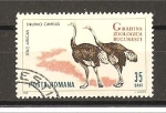 Stamps : Europe : Romania :  Avestruz.