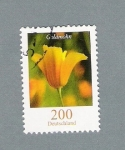 Stamps Germany -  Goldmohn