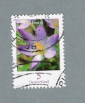 Stamps Germany -  Krokus