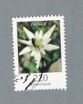 Stamps Germany -  Edelwib