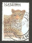 Stamps Namibia -  un leopardo