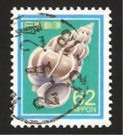 Stamps : Asia : Japan :  caracola marina