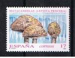 Stamps Spain -  Edifil  3244  Micología  