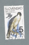 Stamps Slovakia -  Falcón Peregrino