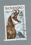 Stamps : Europe : Slovakia :  Rupicabra