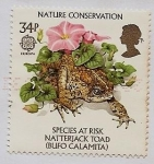 Stamps United Kingdom -  EUROPA - Sapo corredor - en peligro de extinción