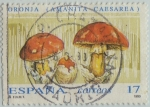 Stamps Spain -  Micología-Oronja-1993