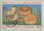 Stamps Spain -  Micología-Niscalo-1994