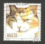 Stamps Europe - Malta -  un gato