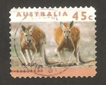 Stamps : Oceania : Australia :  canguros
