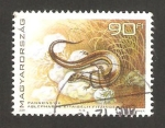 Stamps Hungary -  fauna, lagarto