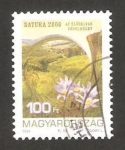 Stamps Hungary -  protección al medio ambiente