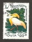 Sellos de Europa - Rusia -  ave de agua, ibis