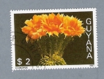 Sellos de America - Guyana -  Echinopsis